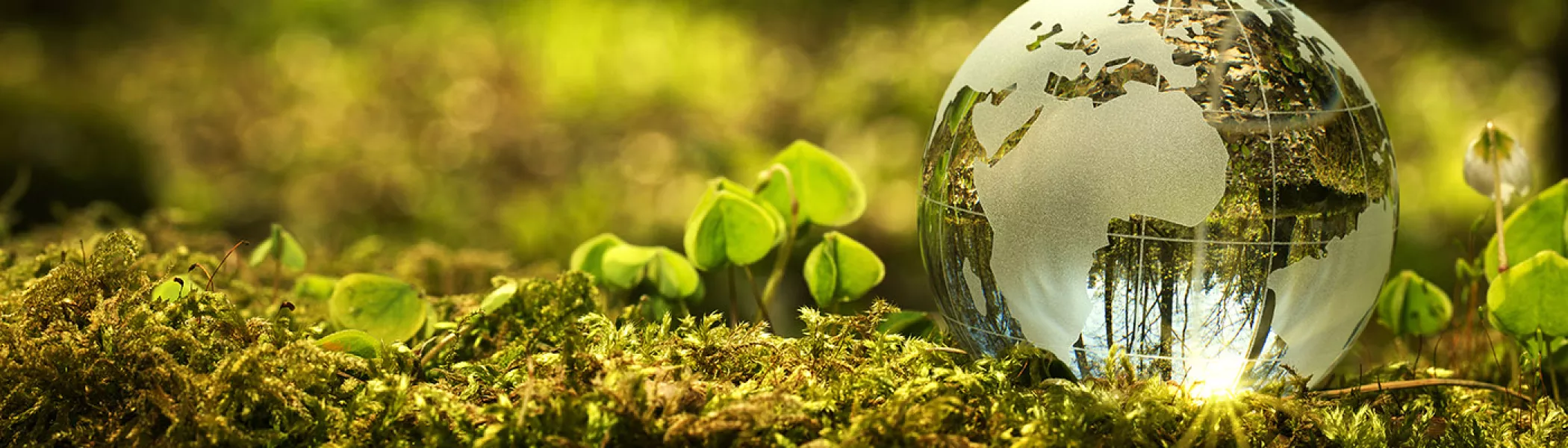 Global Plant right Hero Banner 1400px