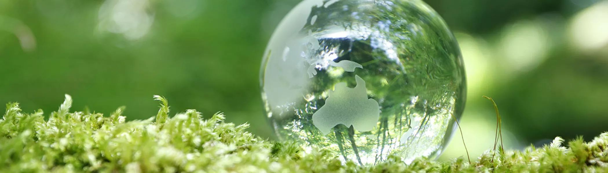 Global Plant Hero Banner 1400px