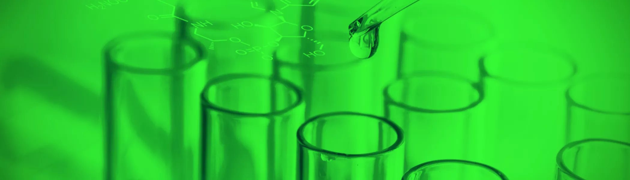 standards watch banner image dec 2019 upw2