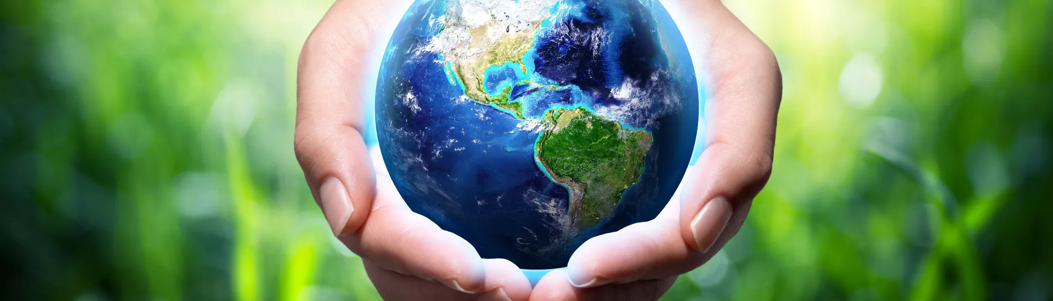 Global Hand Plant banner 3500px