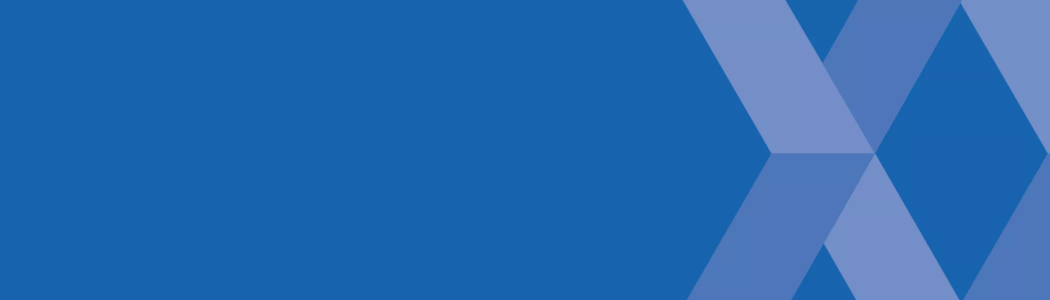 FLEX banner