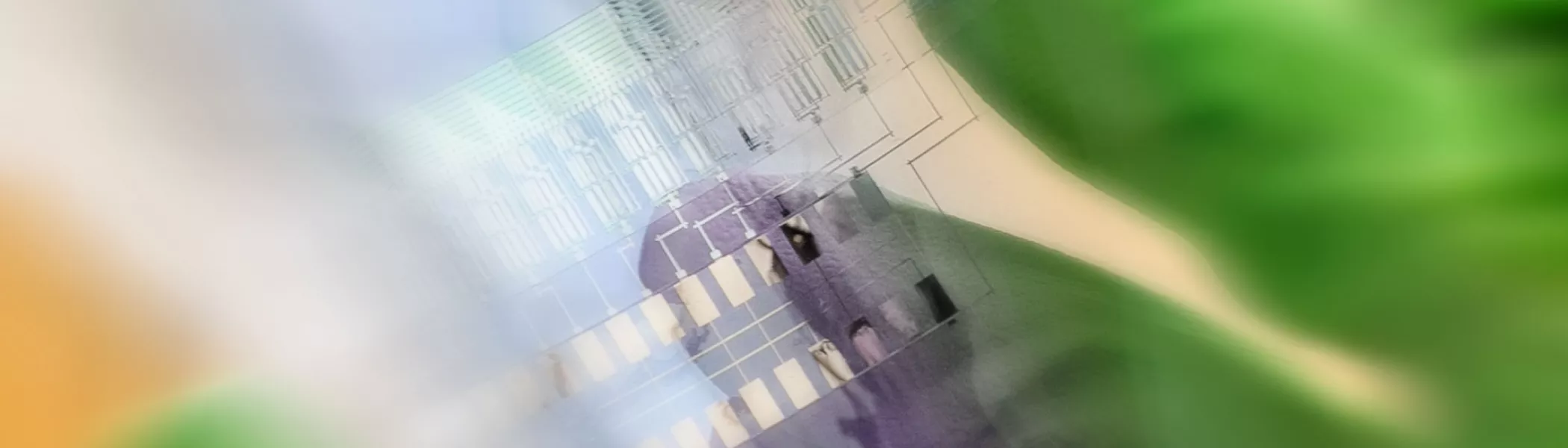 Flexible Hybrid Electronics
