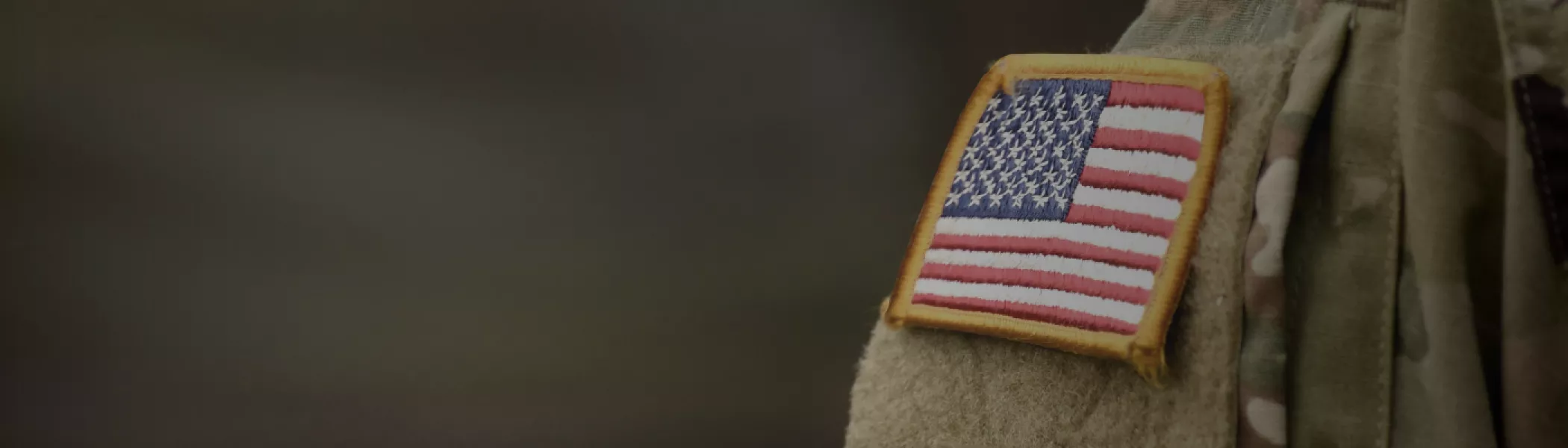 Vet1_Web_Banner_1600x400 flipped