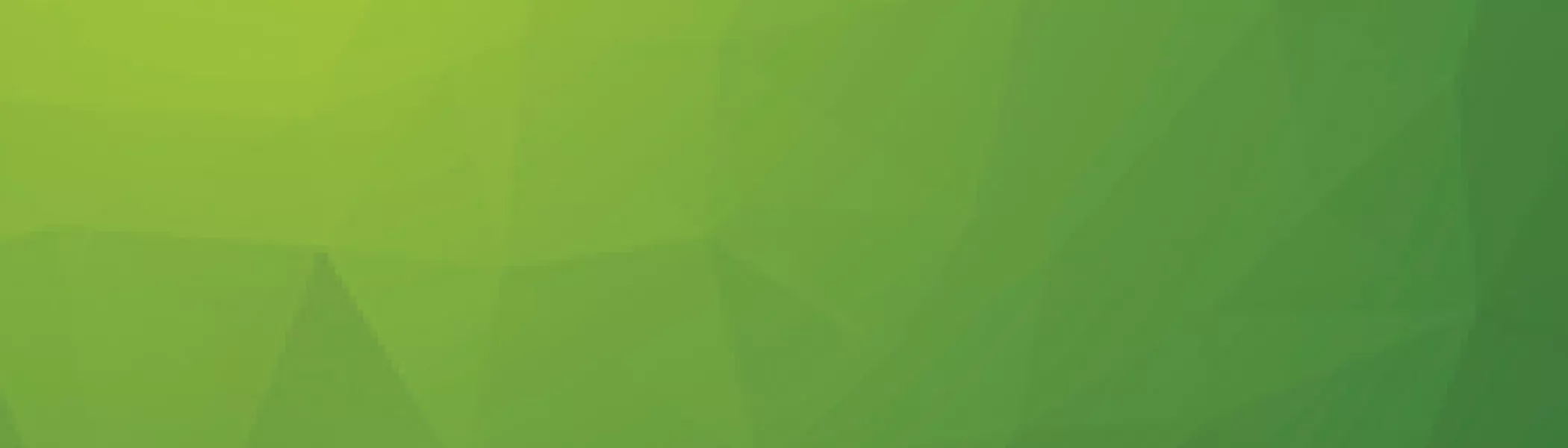 Silicon Valley Green Hero