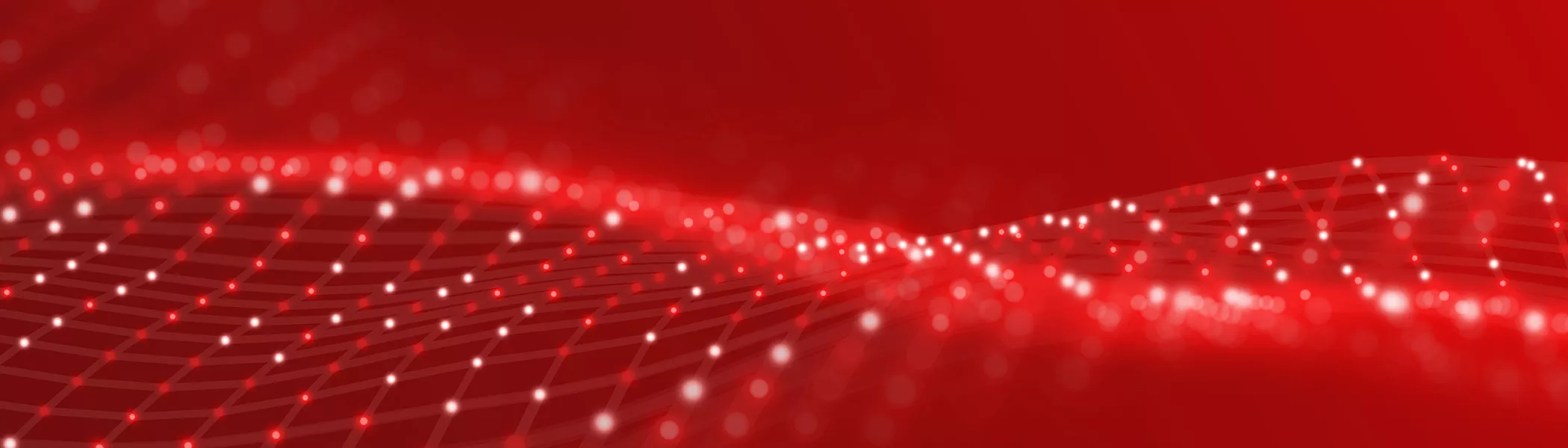 SLS Web Banner