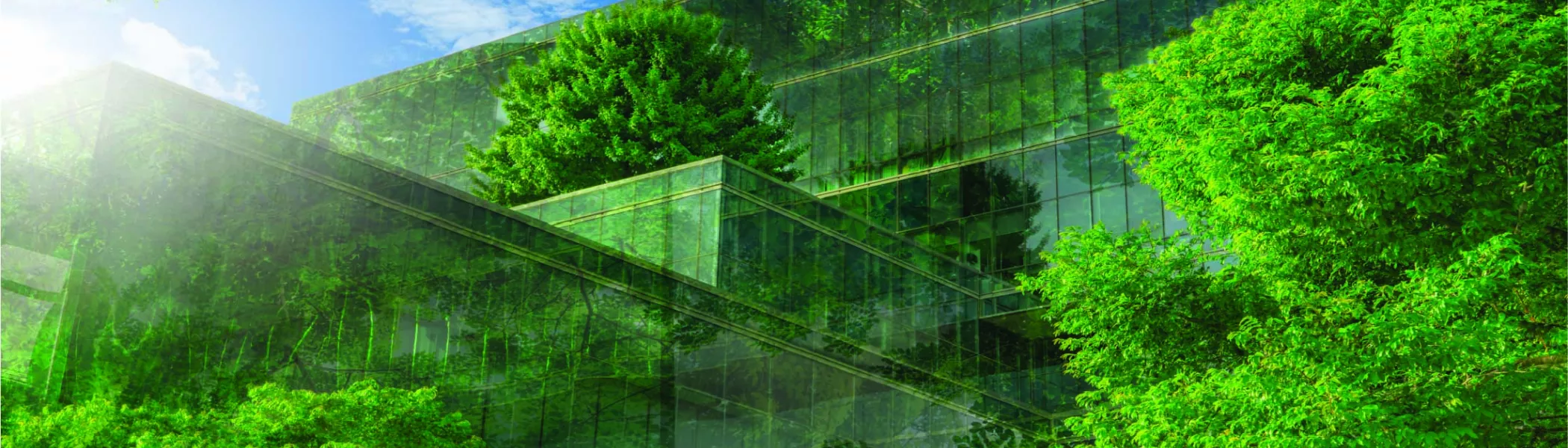 SSI Webinar Banner
