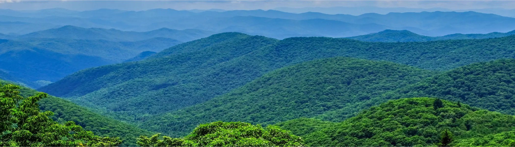 Scope 3.11 Banner image