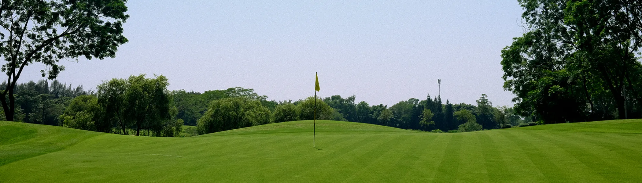 GolfMain-Van-Tri