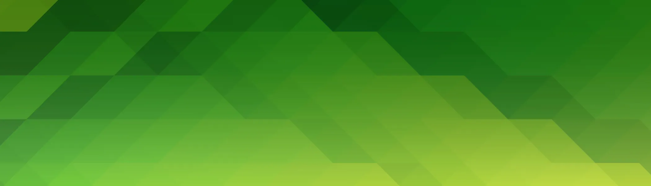 Software Standards Guideline