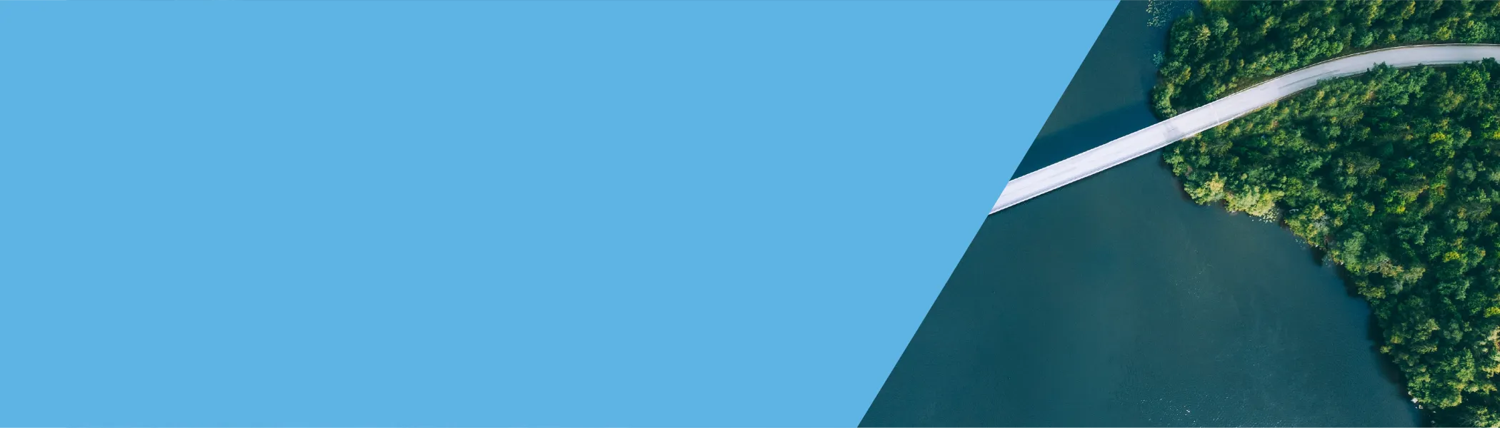 banner for ripple effects webinar
