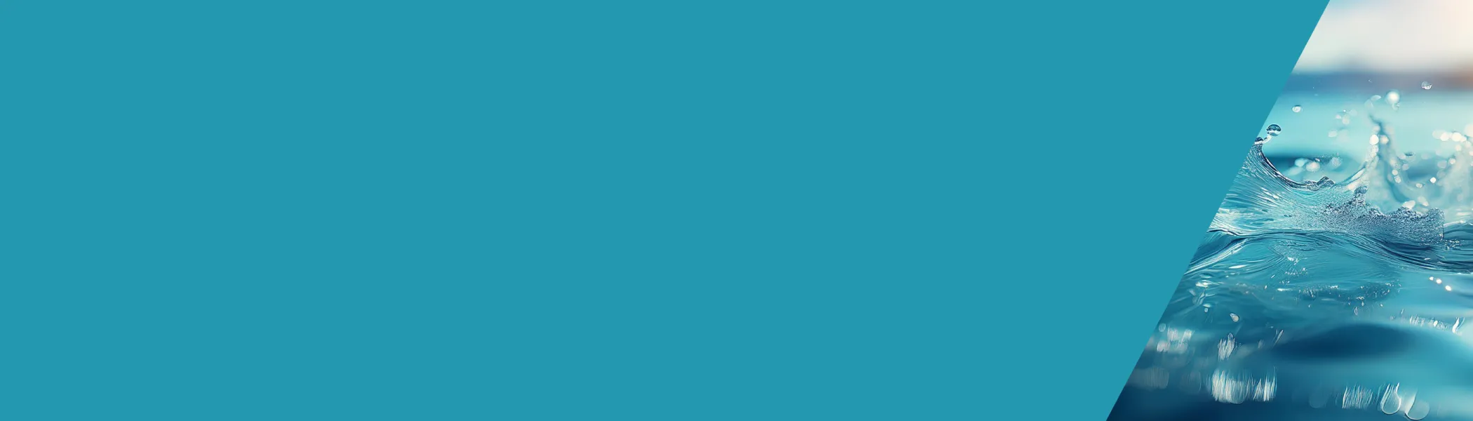 Water Management Strategies Banner