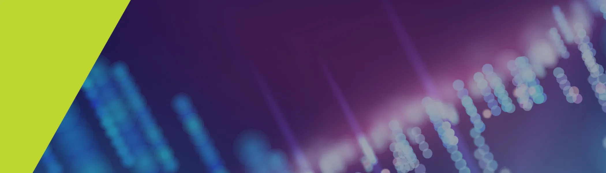 web banner