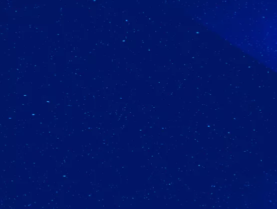 bluestar field
