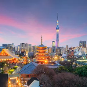 Tokyo Skyline