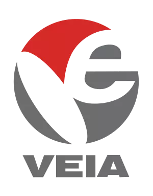 Vietnam Electronic Industries Association