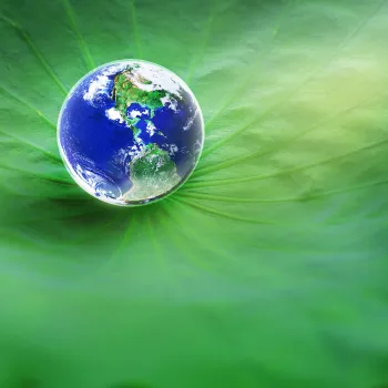 Earth Lotus 3500px dark hero banner