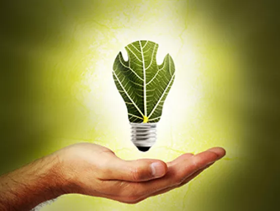 Green Ligh Bulb 370 pixel