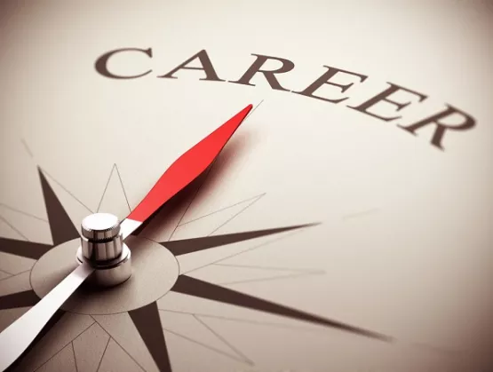 BHM main Career