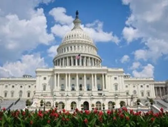 DC Picture