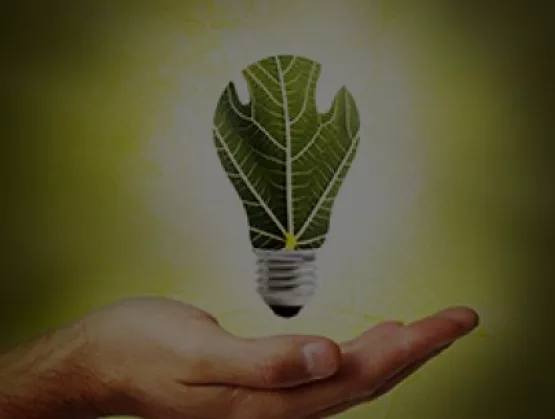 green_light