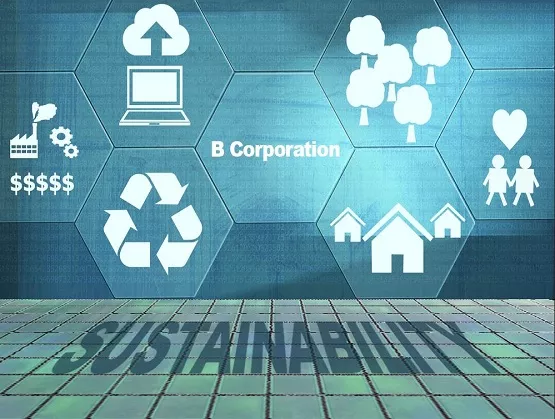 Brewer Science B Corp