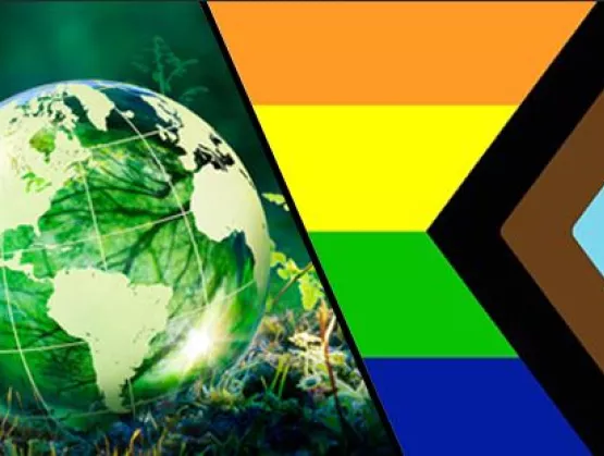 DEI Sustainability