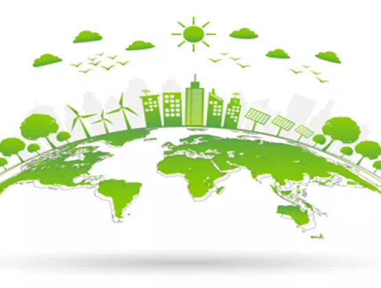 Sustainability