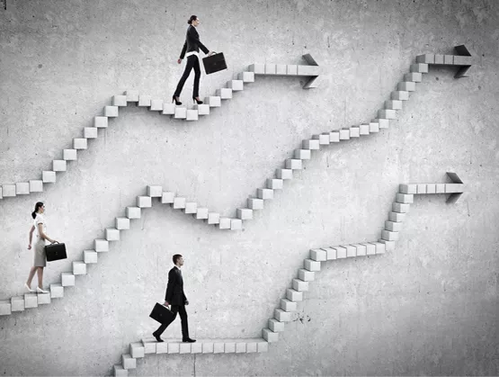 Career path