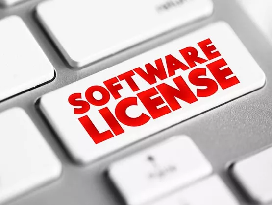 Software Piracy