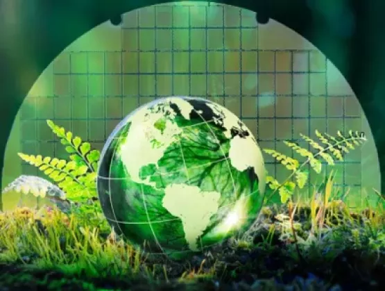 Sustainability