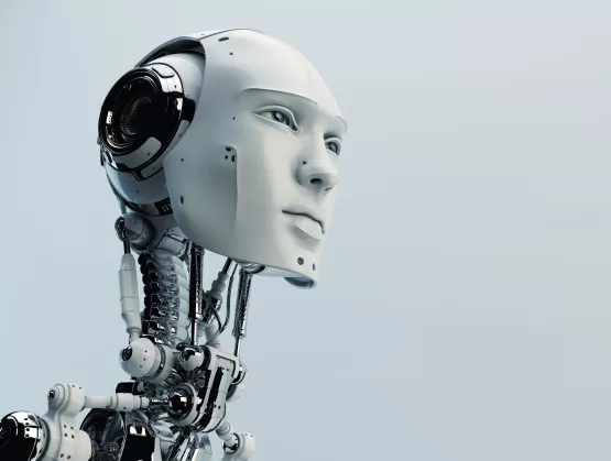 Humanoid Robot
