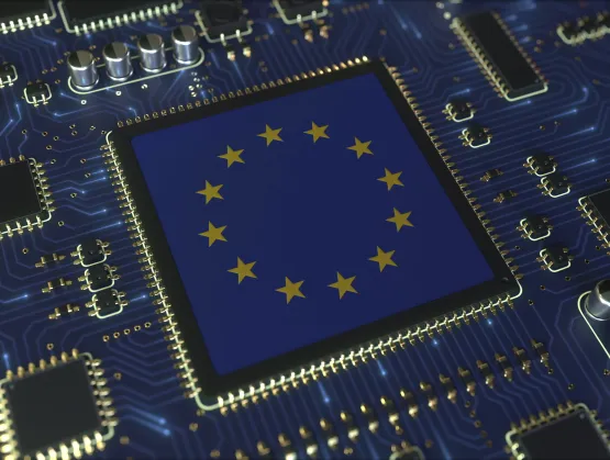 EU Chip
