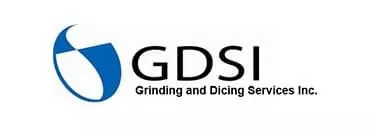 GDSI logo