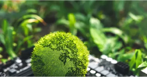 fuzzy green eathr