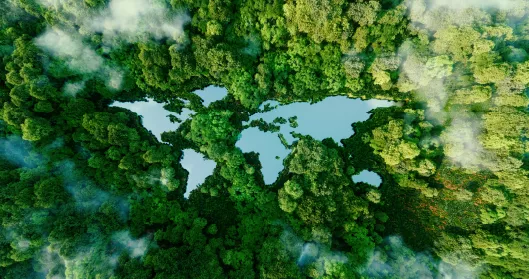 continental trees