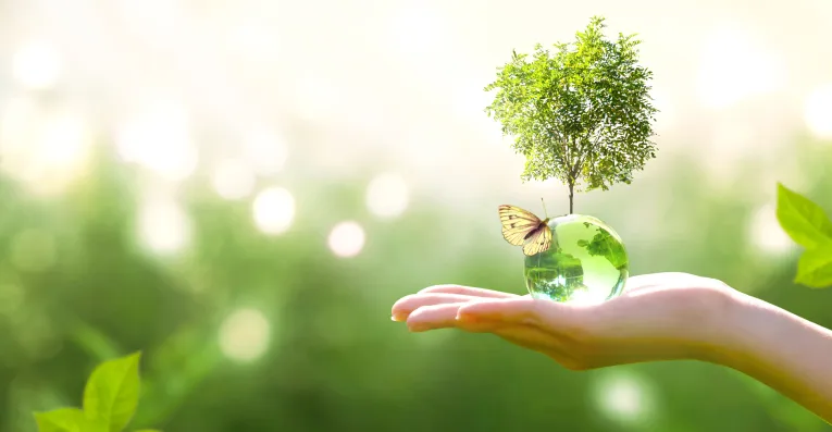 shutterstock_1500154991