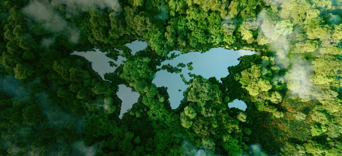 SEMI Forest banner