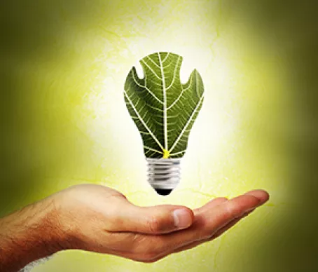 Green Ligh Bulb 370 pixel