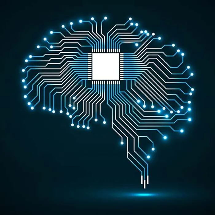 Brain IC 540 pixel