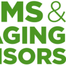 MEMS logo
