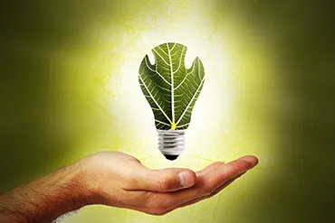 Green Ligh Bulb 370 pixel