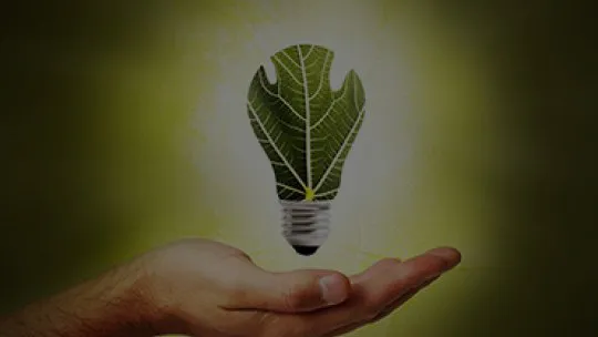 green_light