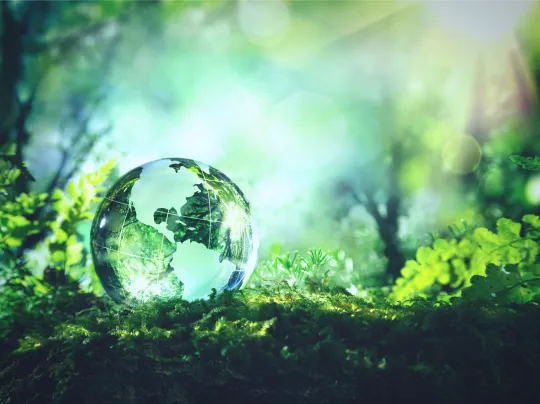 FHE Sustainability 