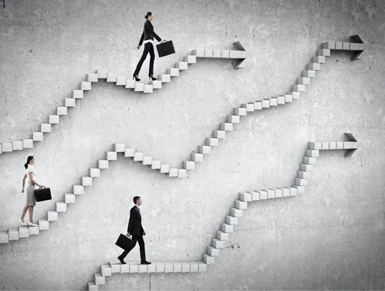 Career path