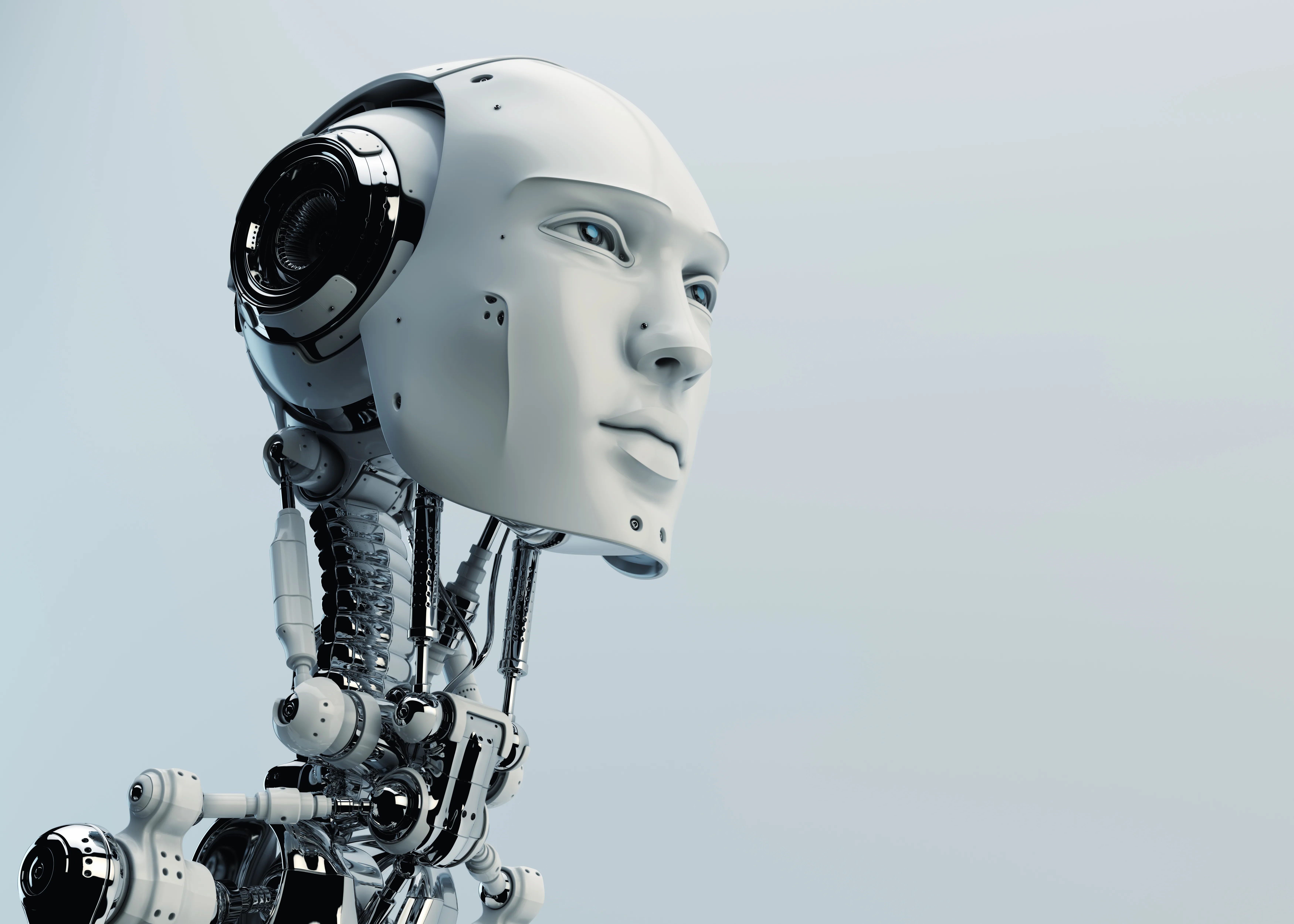 Humanoid Robot