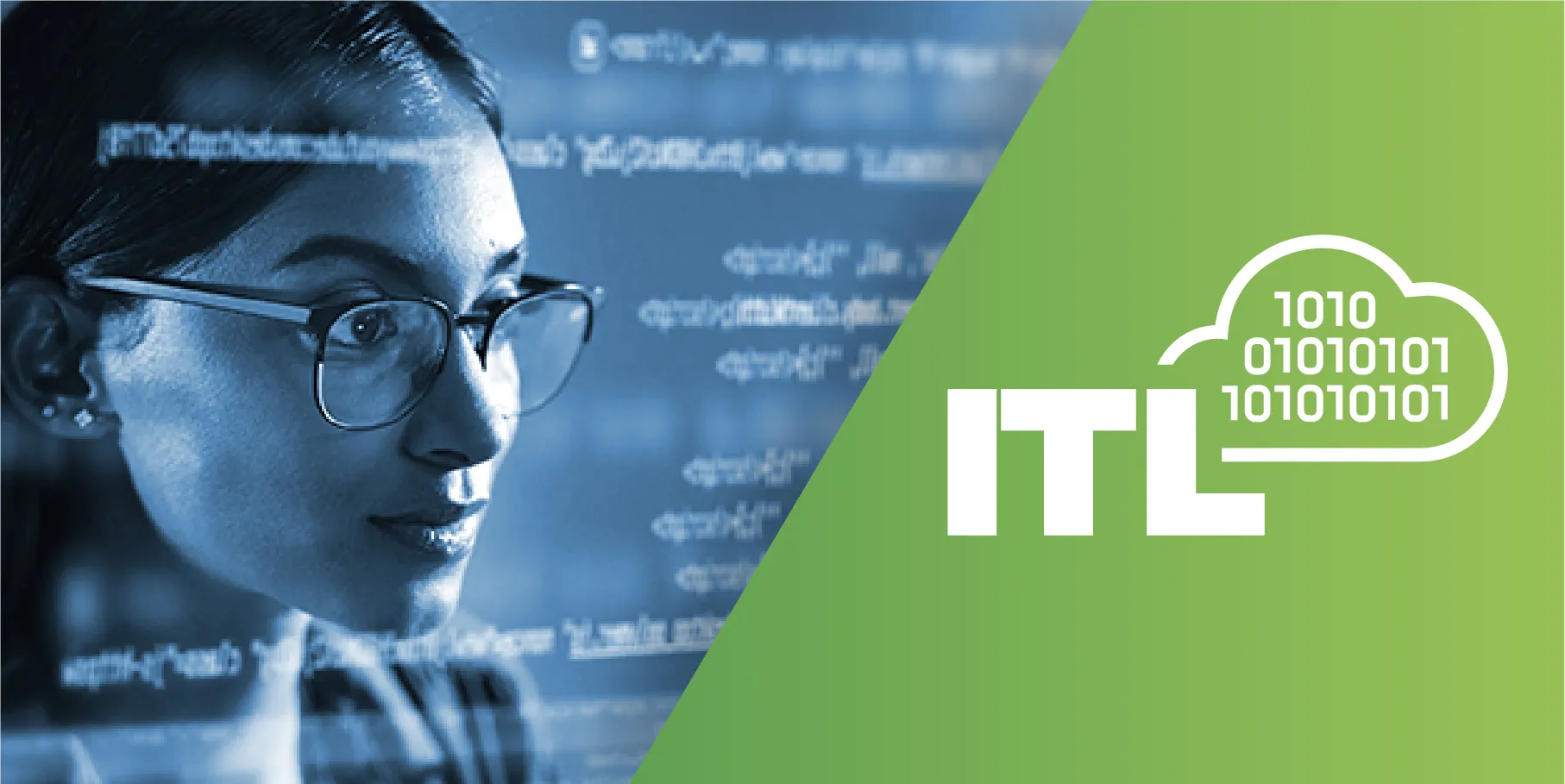 information technology leadership