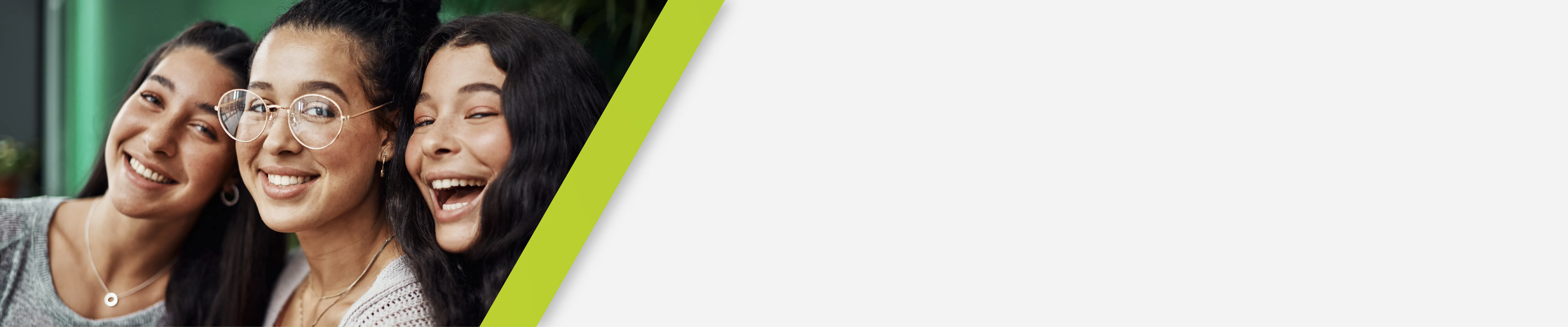 Section Banner - 1