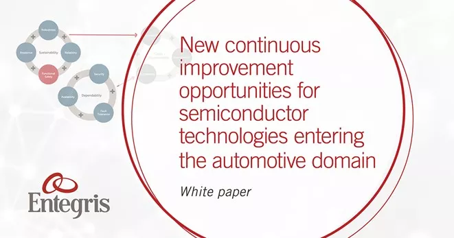 Entegris whitei paper