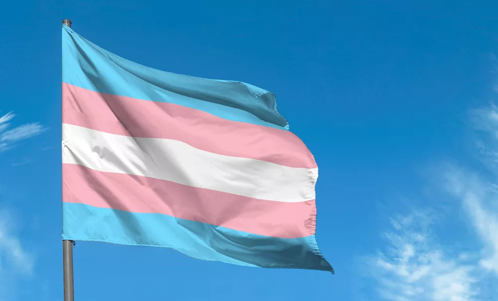 Transgender flag