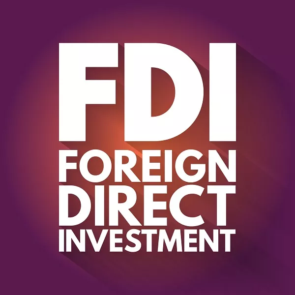 Vietnam FDI